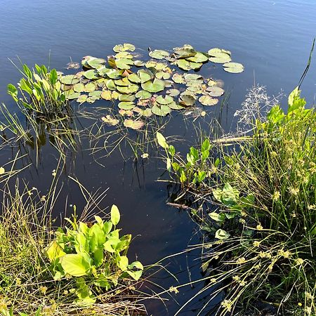 Villa Landzicht Natuur Rust En Ruimte à Oosterwolde  Extérieur photo