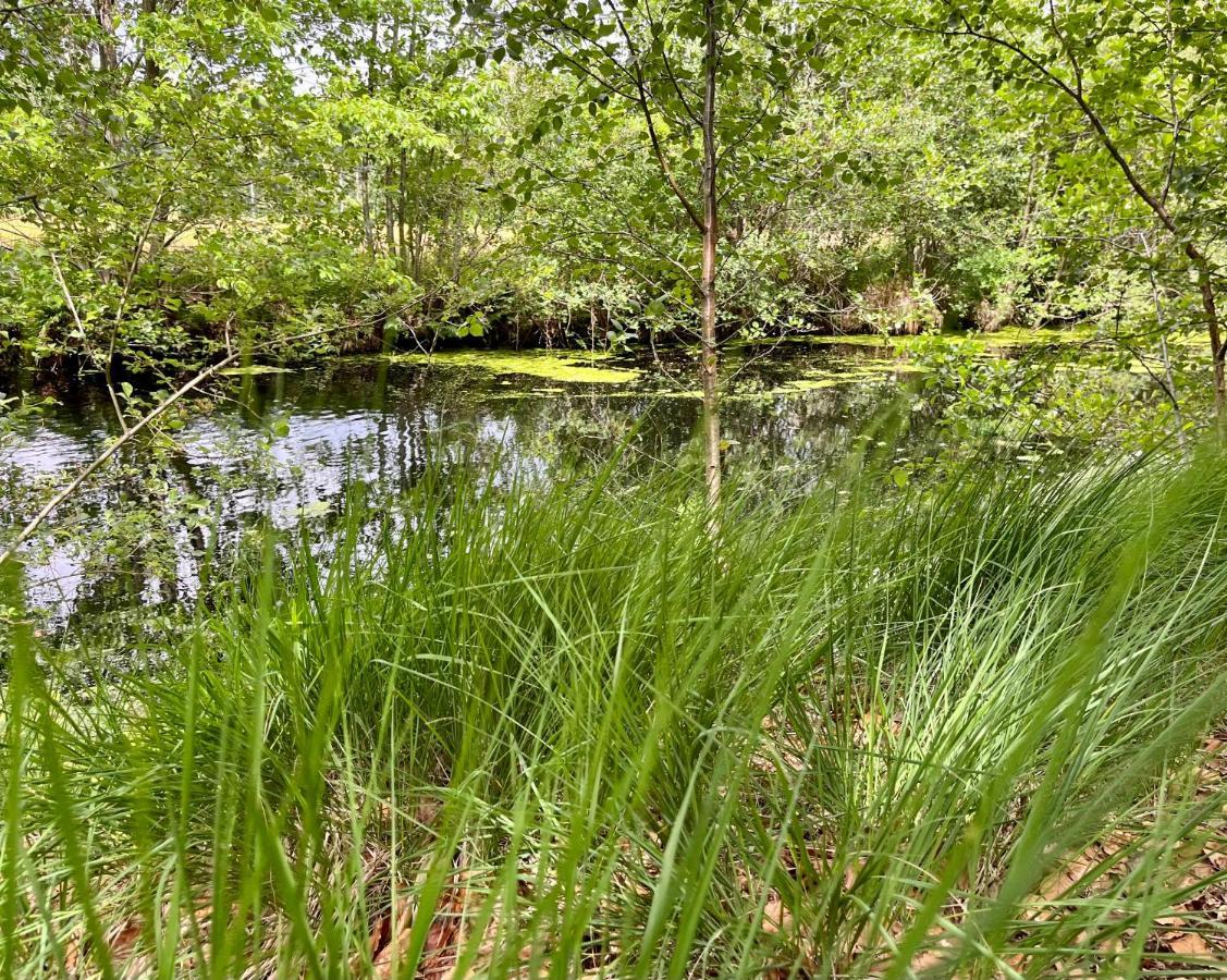 Villa Landzicht Natuur Rust En Ruimte à Oosterwolde  Extérieur photo