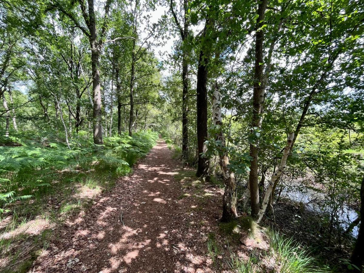 Villa Landzicht Natuur Rust En Ruimte à Oosterwolde  Extérieur photo