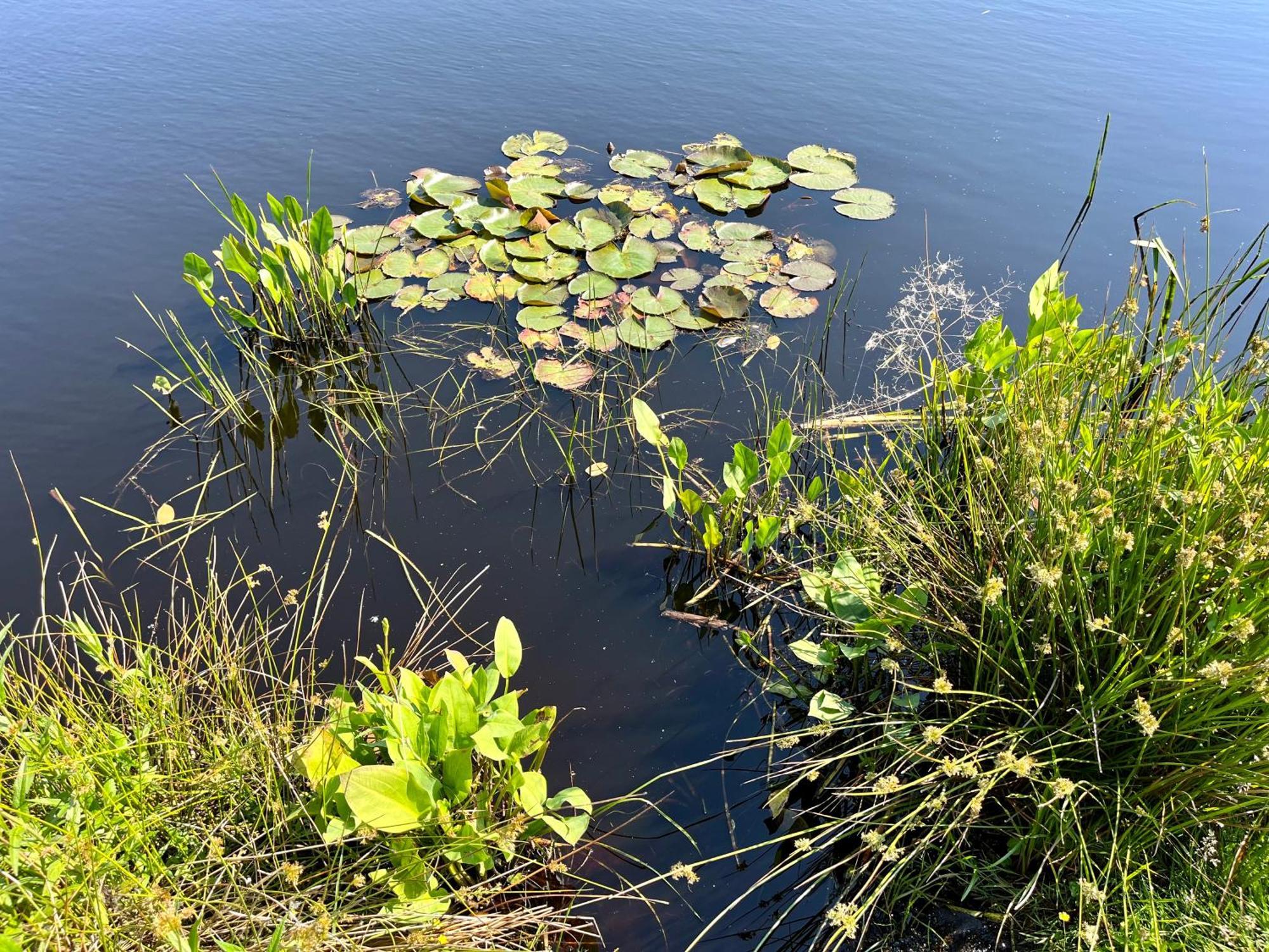 Villa Landzicht Natuur Rust En Ruimte à Oosterwolde  Extérieur photo