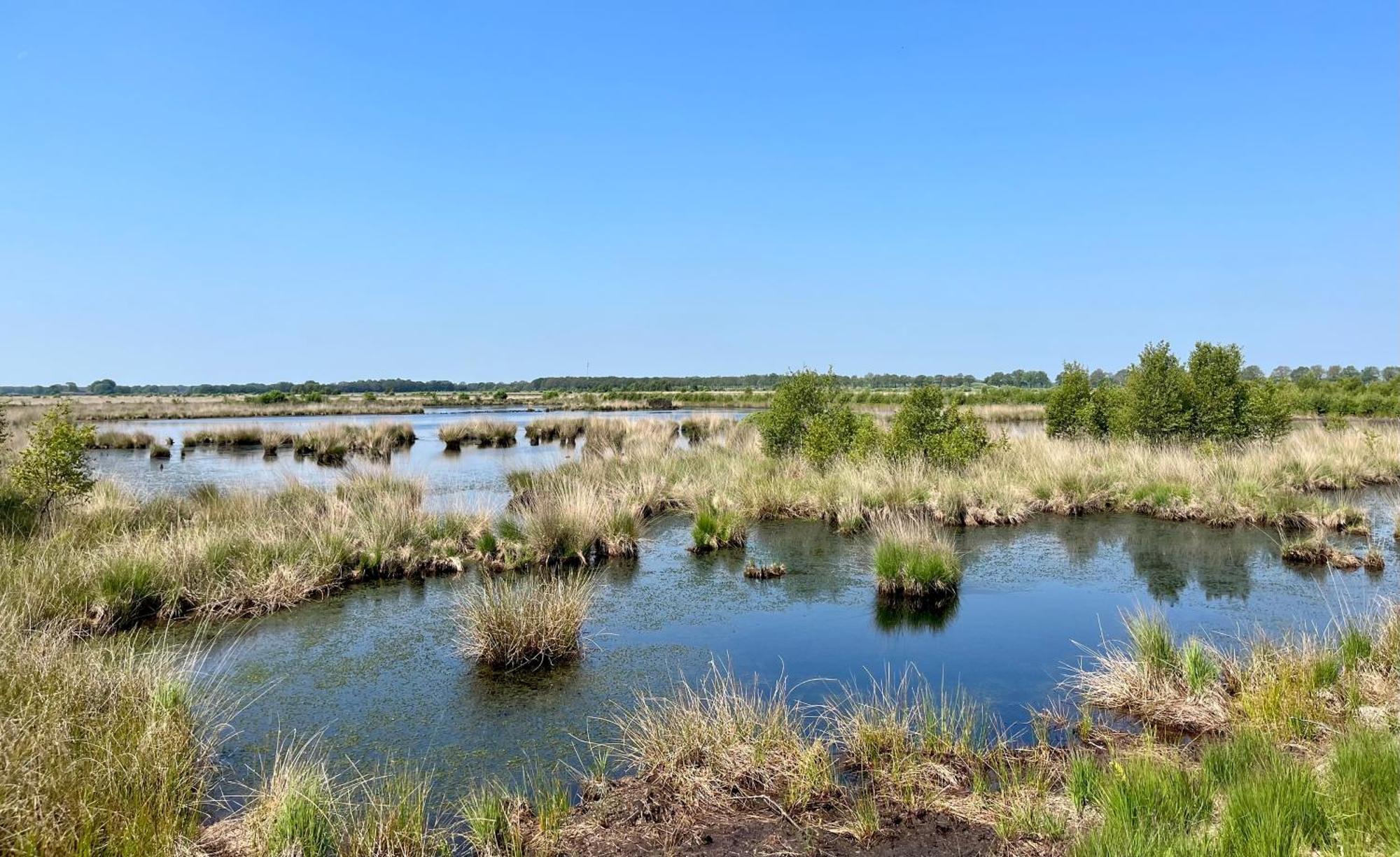 Villa Landzicht Natuur Rust En Ruimte à Oosterwolde  Extérieur photo