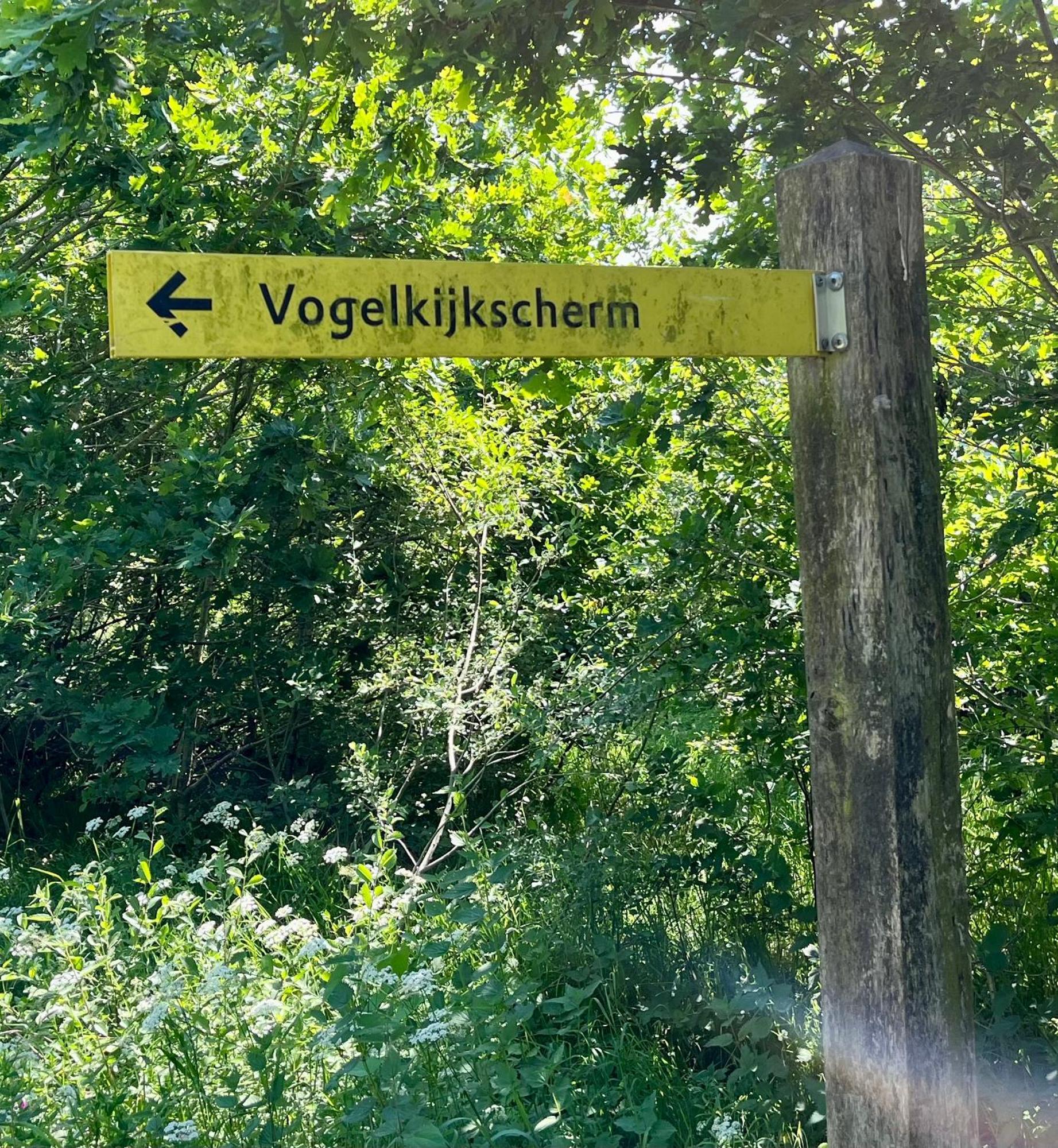 Villa Landzicht Natuur Rust En Ruimte à Oosterwolde  Extérieur photo