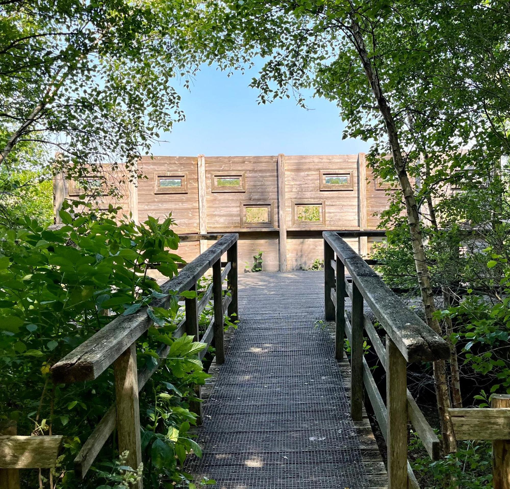 Villa Landzicht Natuur Rust En Ruimte à Oosterwolde  Extérieur photo