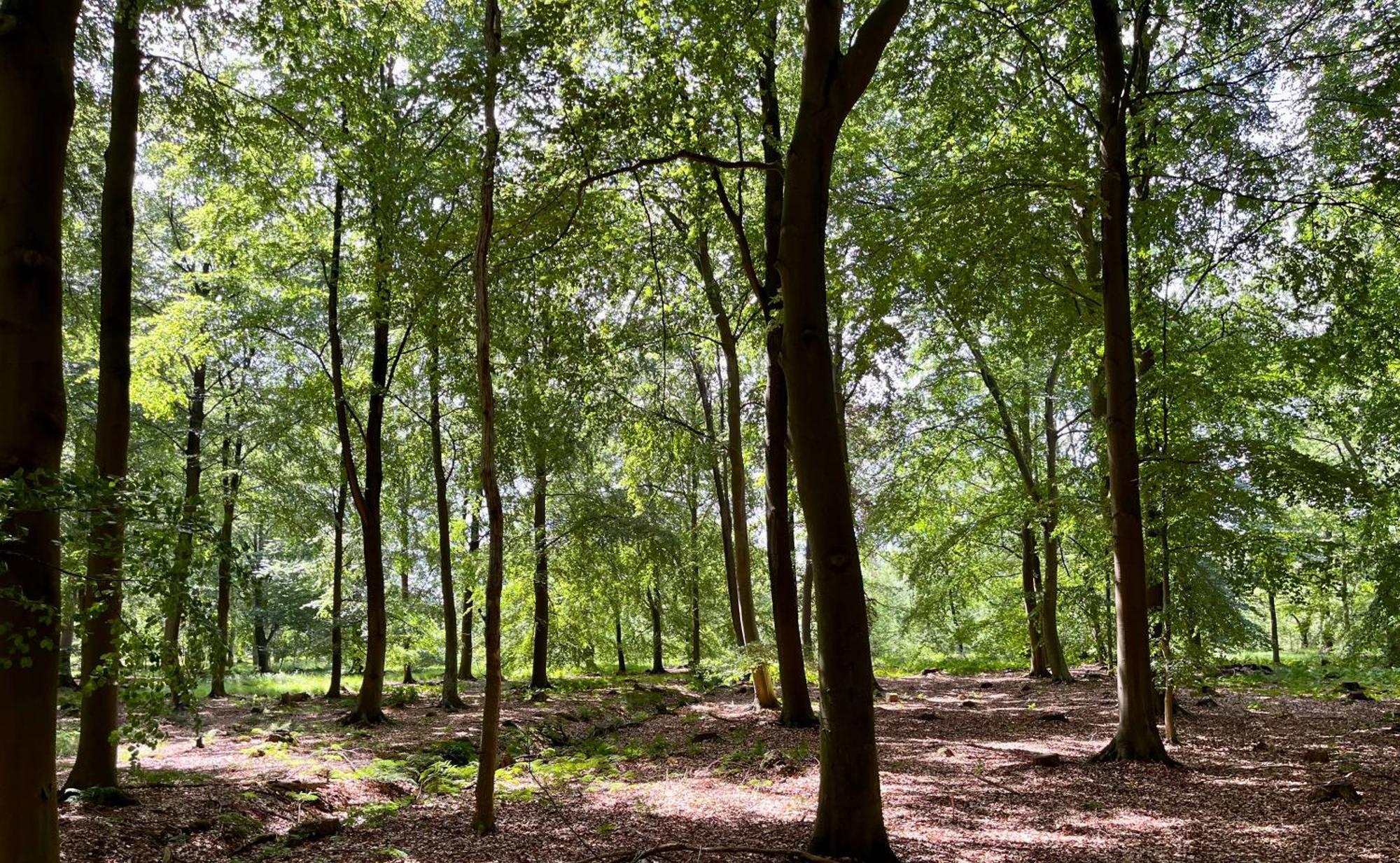 Villa Landzicht Natuur Rust En Ruimte à Oosterwolde  Extérieur photo